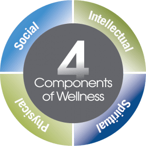 senior living wellness programs