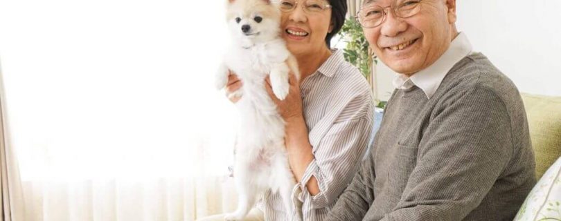 Couple with dog on couch